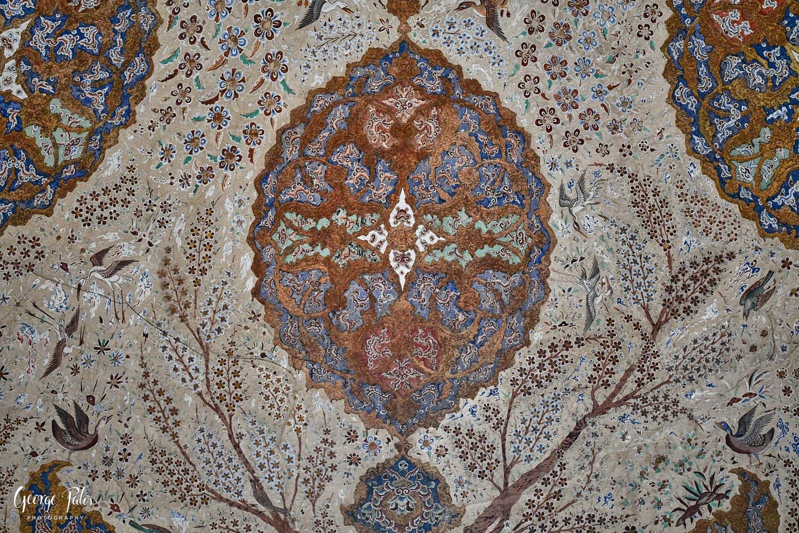 2017 10 14 PAL3251